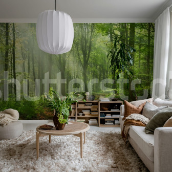 Fototapet cu pădure de vară într-o cameră de zi