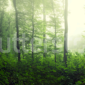 Fototapet cu pădure verde într-un dormitor modern