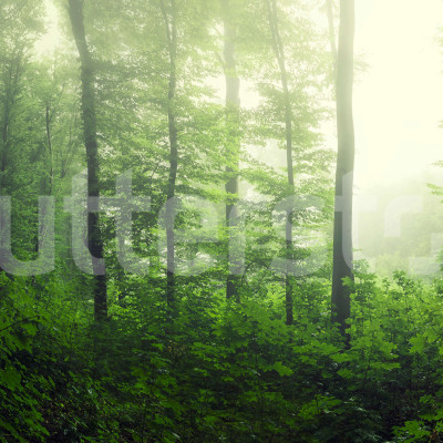 Fototapet cu pădure verde într-un dormitor modern