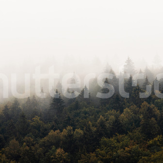 Fototapet cu pădure în ceață într-o sufragerie modernă