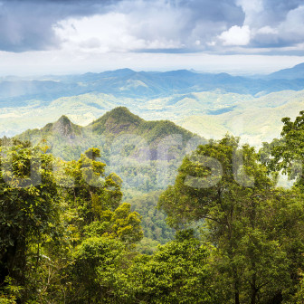 Fototapet cu peisaj montan verde
