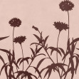 Floral Silhouette, Pink, Rebel Walls