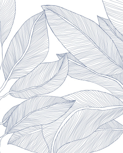 Ruby Lines, Blue, Rebel Walls