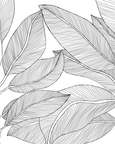 Ruby Lines, Black, Rebel Walls