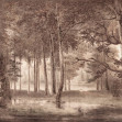 Lovers Forest, Burgundy, Rebel Walls