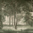 Lovers Forest, Green, Rebel Walls