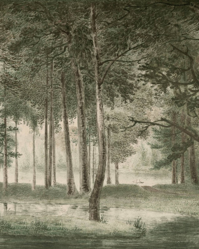 Fototapet cu ilustrație de pădure în nuanțe de verde, într-un living/bucătărie modernă.