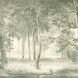 Lovers Forest, Light Green, Rebel Walls
