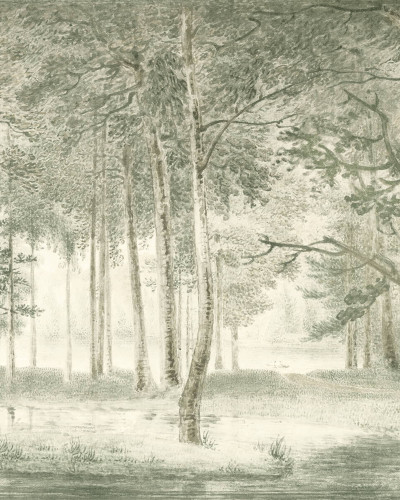 Fototapet cu un design de pădure romantică în nuanțe de verde mentă, reprezentând copaci înalți și vegetație luxuriantă, într-un cadru luminos și aerisit.