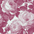 Bold Roses, Pink, Rebel Walls