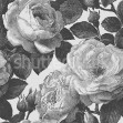 Bold Roses, Black & White, Rebel Walls