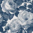 Bold Roses, Blue, Rebel Walls