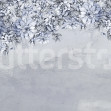 Serene Blossoms, Blue, Rebel Walls