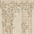 Chinoiserie Trellis, Beige, Rebel Walls