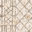 Garden of Secrets, Beige, Rebel Walls
