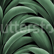 Grand Leaves, Green, Rebel Walls