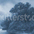 Tranquil Forest, Blue, Rebel Walls