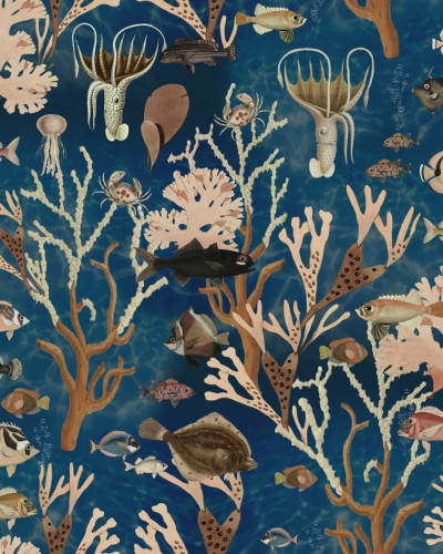 Aquarium, Ocean, Rebel Walls