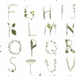 Tapet Floral Alphabet Mini, English, Rebel Walls, 5 mp / rola