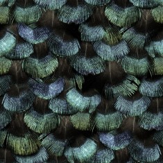 Tapet Petite Peackock Plumage, Opal, Rebel Walls, 5 mp / rola