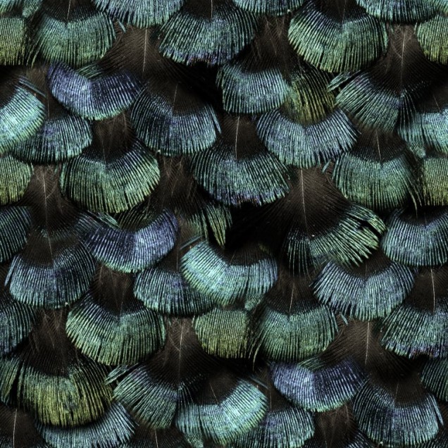 Tapet cu model Petite Peackock Plumage, Opal, cu un design inspirat de penele păunului, în nuanțe de verde și albastru.