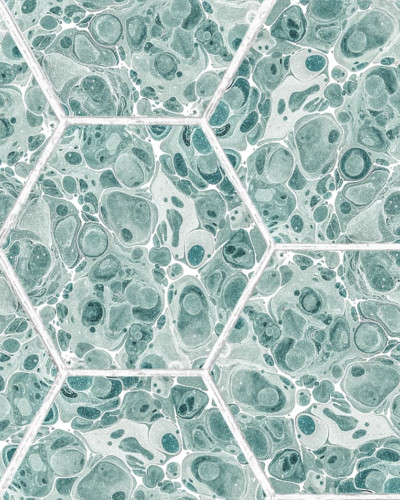 Tapet cu model hexagonal din marmură verde