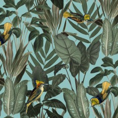 Tapet Birds of Paradise, Lush Green, Rebel Walls, 5 mp / rola