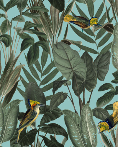 Tapet Birds of Paradise Lush Green cu un design modern si exotic, cu nuante de verde intens si pasari exotice colorate