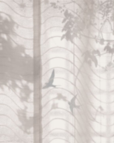 Fototapet cu design floral umbrit într-o sufragerie modernă
