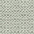 Beata Moss Green, Sandberg, 5.3mp / rola