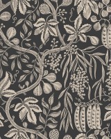 Fig Garden Charcoal, Sandberg, 5.3mp / rola