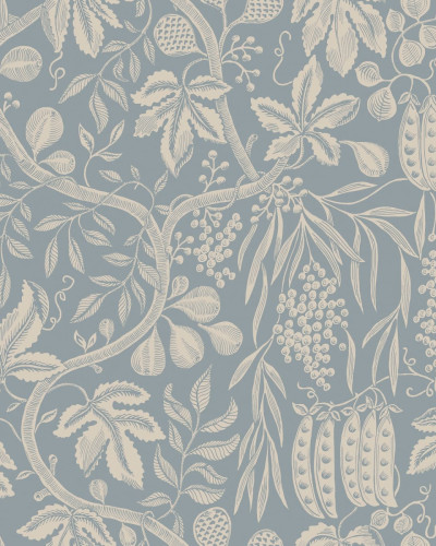 Fig Garden Misty Blue, Sandberg, 5.3mp / rola