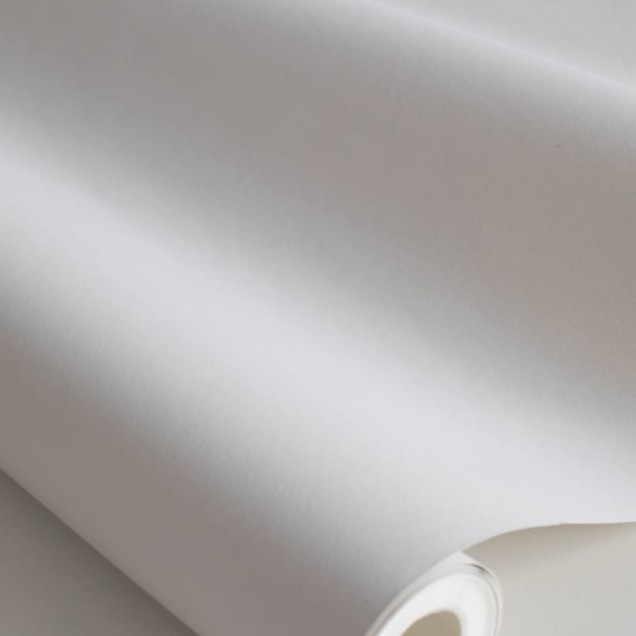 Tapet lavabil cu un design simplu și elegant, perfect pentru a crea o atmosferă modernă în orice cameră.