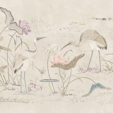 Seabirds, Sandstone, Sandberg