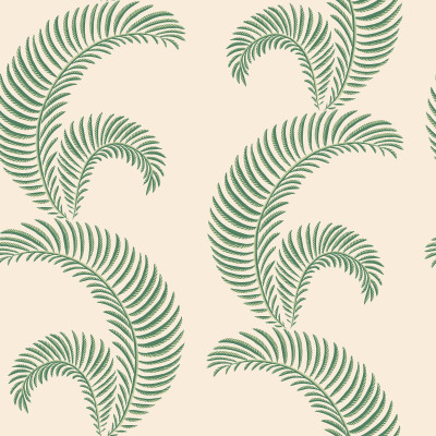 Jasmine, Garden Green, Sandberg, 5.3mp / rola