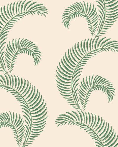 Jasmine, Garden Green, Sandberg, 5.3mp / rola
