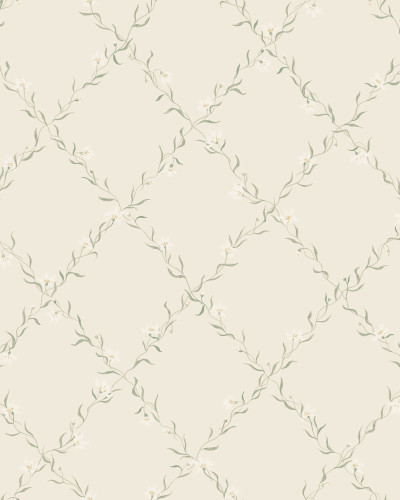 Ewa, Sandstone, Sandberg, 5.3mp / rola