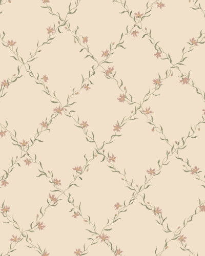 Ewa, Dusty Pink, Sandberg, 5.3mp / rola