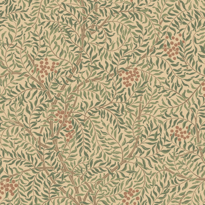 Simon, Garden Green, Sandberg, 5.3mp / rola