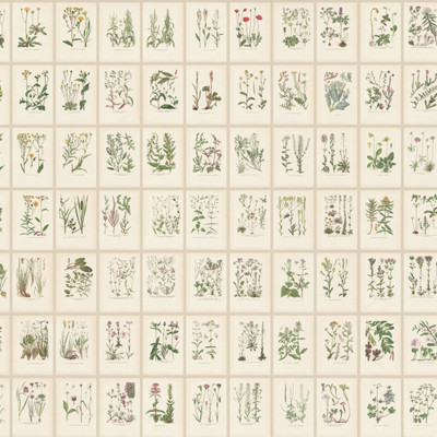 Tapet cu ilustrații botanice vintage într-un interior elegant