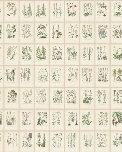 Tapet cu ilustrații botanice vintage într-un interior elegant