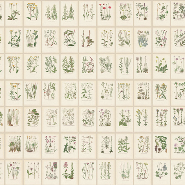 Tapet cu ilustrații botanice vintage într-un interior elegant