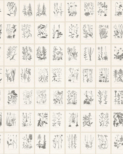 Tapet floral cu ilustrații botanice în stil grafic