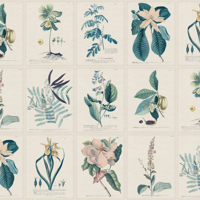 Tapet floral albastru cu ilustrații botanice vintage