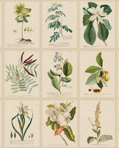 Tapet floral cu ilustrații botanice într-o cameră amenajată.