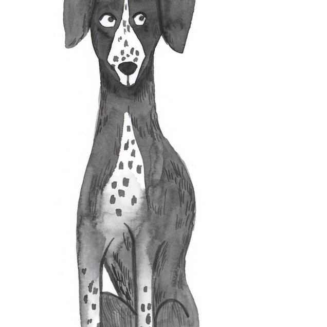 Tapet cu design canin, fundal alb