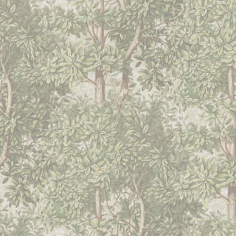 Charles, Light Green, Sandberg