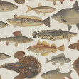 Scandinavian Fish, Beige, Sandberg