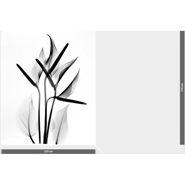 Fototapet floral alb-negru, design interior modern