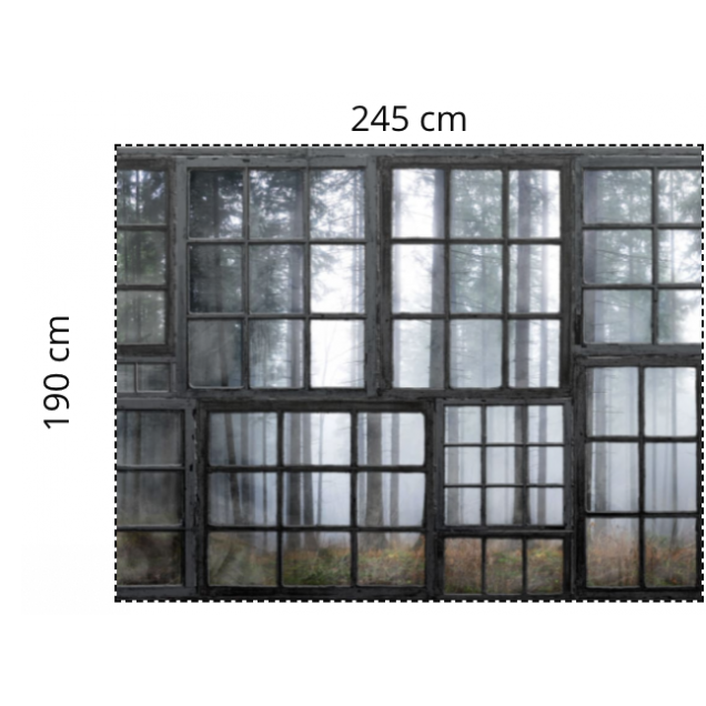 Fototapet Rebel Walls RBW-R15341-245x190. Conține culorile: Gri, Gri-Negru, Gri, Gri Argintiu, Gri, Telegri 4, Gri, Gri-Verde, Bej, Bej Gri
